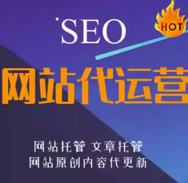 seo网站代运营   网站托管