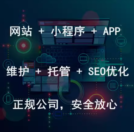 网站  小程序   app