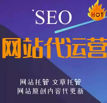 网站代运营    seo